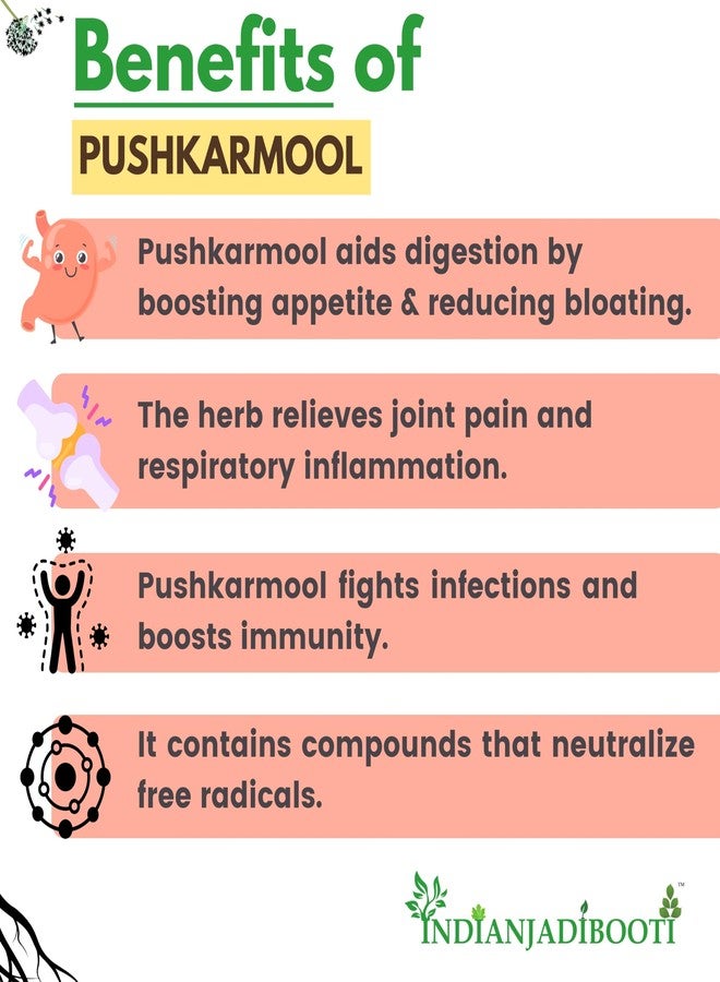 IndianJadiBooti Pushkarmool (100g) | Inula Racemosa Root | Pushkar Mool | Ayurvedic Herb for Respiratory Comfort, Chest Congestion & Heart Health | Natural Kapha Balancer | Dried Roots - Image 3